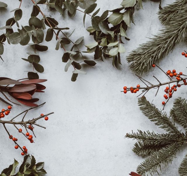 heller Untergrund mit verschiedenen grünen Zweigen von Tanne und Efeu