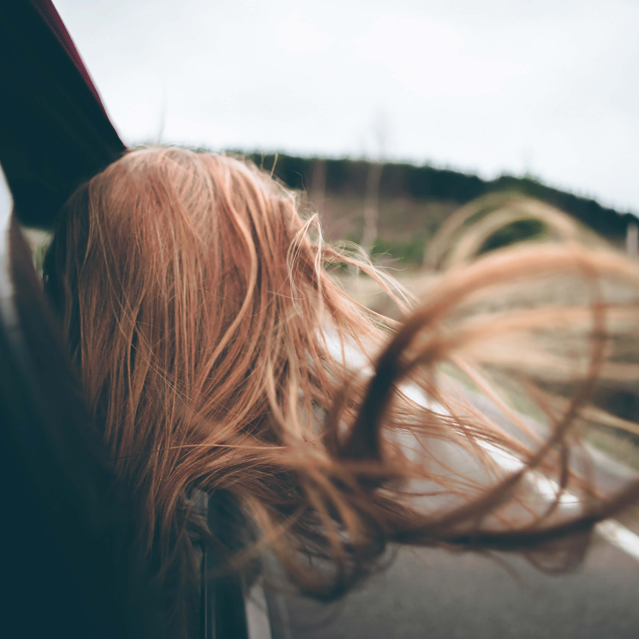 Eine weibliche Person schaut aus dem Fenster eines fahrenden Autos. Die Haare wehen im Wind.